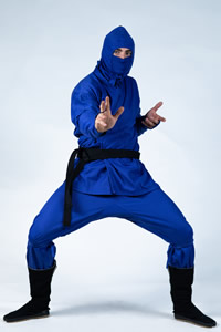 Blue Ninja