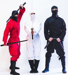Ninja Party Entertainment