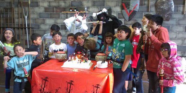 Ninja Birthday Party