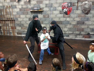 Ninja Party