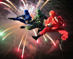 Ninja Party Entertainment